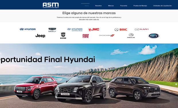 ASM: Hyundai Chimbote