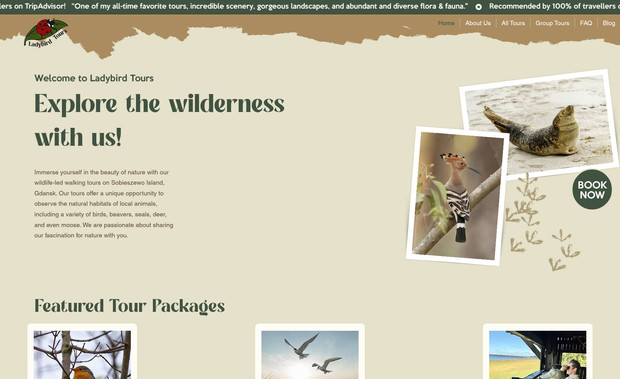 Ladybird Tours: undefined