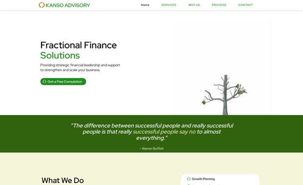 CFO Kanso Advisory: Finance website with an appropriate style for a well-respected financial appeal.