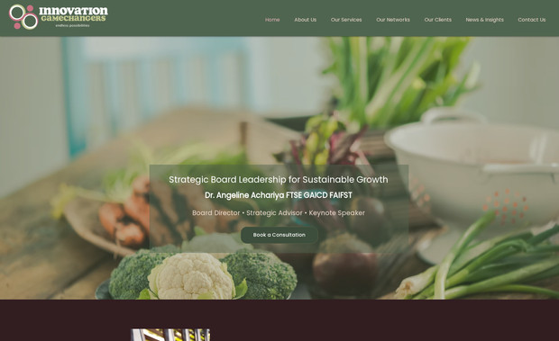 Innovation Gamechangers: Mid-level consultancy company including graphics