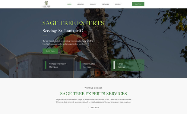 SAGE TREE EXPERTS: SAGE TREE EXPERTS | Serving: St. Louis, MO

Our services include tree trimming, tree removal, stump grinding, tree health assessments, and emergency tree services.