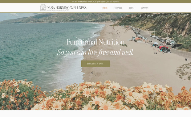 DanaHorningWellness: Branding, Web Design, and Copy Writing for a Functional Nutritionist