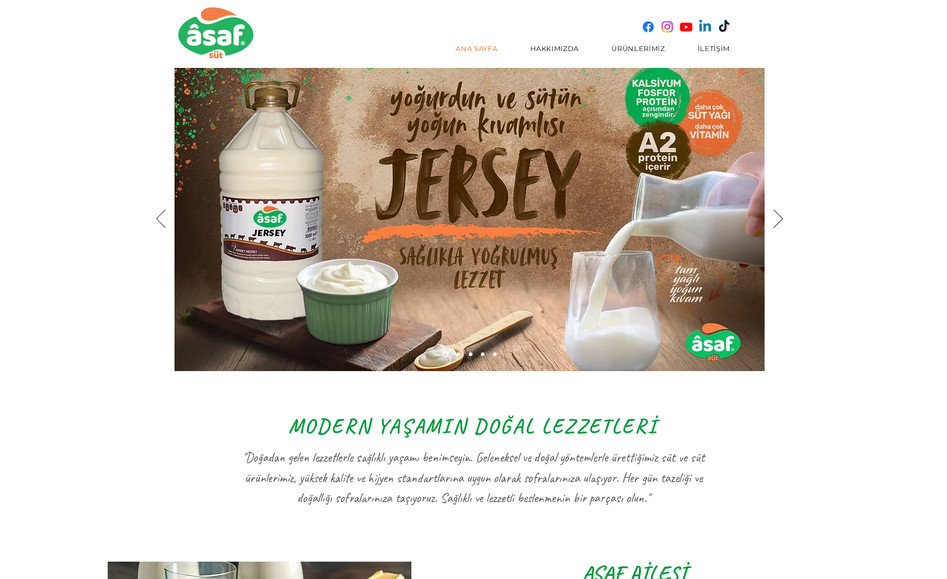 Asaf Ailesi: Web Tasarım
