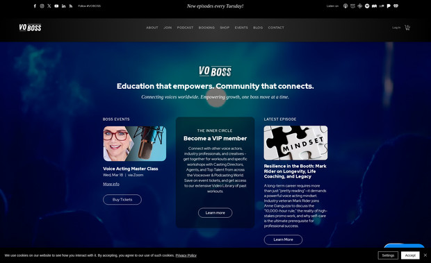 VO BOSS: Website Management, SEO, Paid Ads Management, and Social Media Management