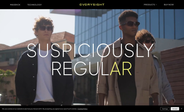 Everysight: Startup Company Customized Smart Website
