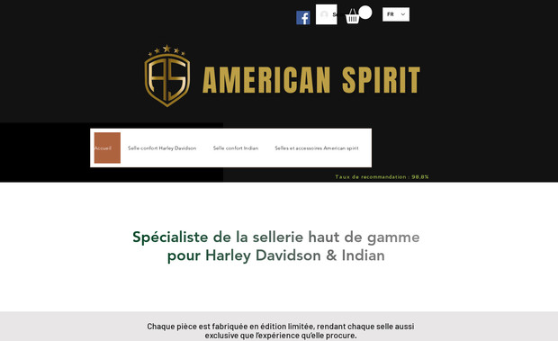 AMERICAN SPIRIT: undefined