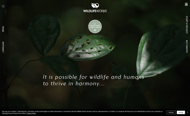 Wildlife New: Editor X, Velo