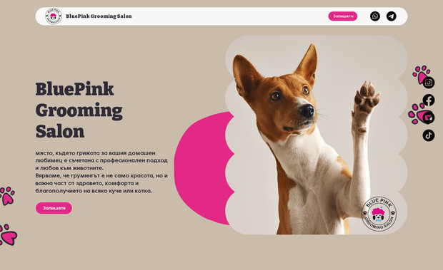 BluePink Grooming Salon: 