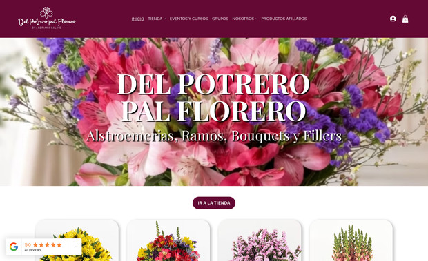 Delpotreropalflorero: Tienda Online de venta de Alastroemerias de Exportación en Colombia