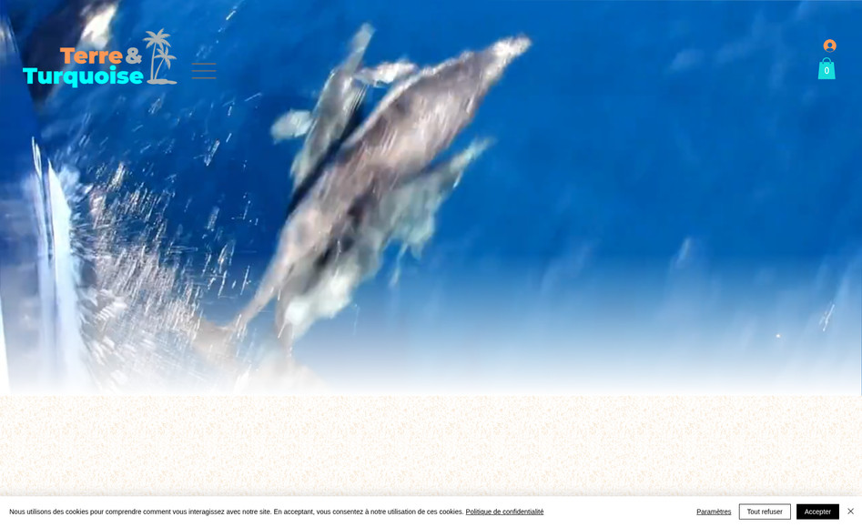 Terre & Turquoise: For a Tourism agency, we did the grafic identity & logo, all the website and we increase the Google rankin every months 
