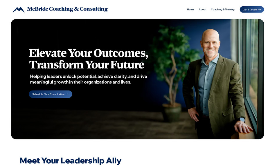 Professional Coaching: undefined