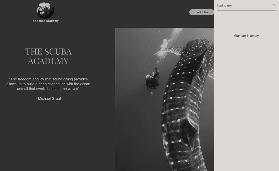 The Scuba Academy: I created the entire website, as well as the logo design. I also did written content edits, added events and bookings features, and much more!