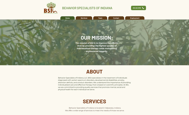 BSITherapy.com: Redesigned site to make it more user friendly and more approachable and found/created icons for each section.