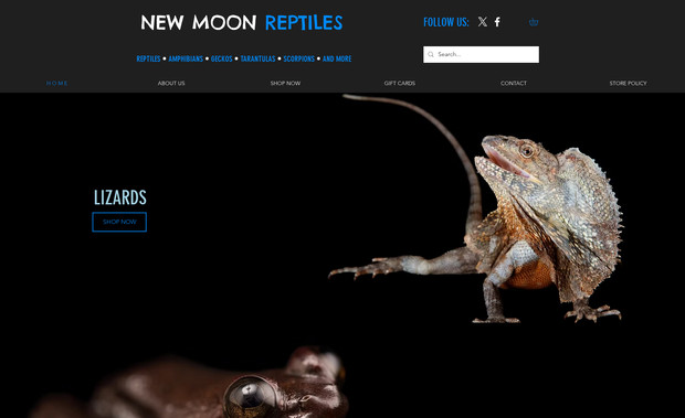 New Moon Reptiles: Webdesign, SEO & Graphic Designs