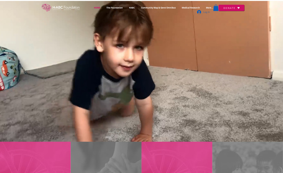 H-ABC Foundation - Donation Website: undefined