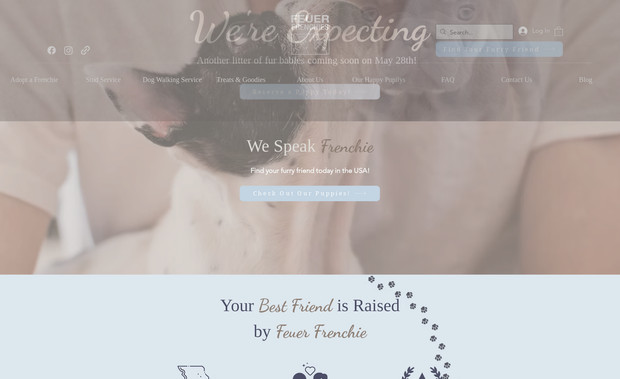 Feuer Frenchies: Feuer Frenchies came to us with a bland website that wasn't attracting nor converting the dog lover site visitors it was looking for. We helped Quinten rebrand by working through various color palettes till we selected the perfect colors for the website. We then moved onto the fonts. These fonts were chosen to both evoke comfortability and credibility, while be fun and unique. 
A sitemap was created to understand the page structure of the website, along with which sections connected to other pages via buttons/links. A wireframe was then constructed to write out the text in colorless blocking to help visualize the layout and content for each of the pages on the website. 
Then Webryact began designing the website on Wix and was able to incorporate various design techniques to embed a lot of written content to explain the history and answer any questions a dog owner may have, while being visually pleasing. We were tasked with copywriting all of the content on the website, using variety of reputable sources to become subject matter experts. 

We also developed a variety of shop pages, one being for adopting the puppies and other for the bones and treats Feuer Frenchies has to offer. That being said, we equipped the website with product pages and collection pages that described the product in more depth to help with conversion rates. Furthermore, we designed many policy pages to ensure the business is in compliance. 

Ultimately, we were able to support Quinten and Feuer Frenchies redesign their website using a more user friendly and unique design to help attract those dog lovers and help them find their furry friends.