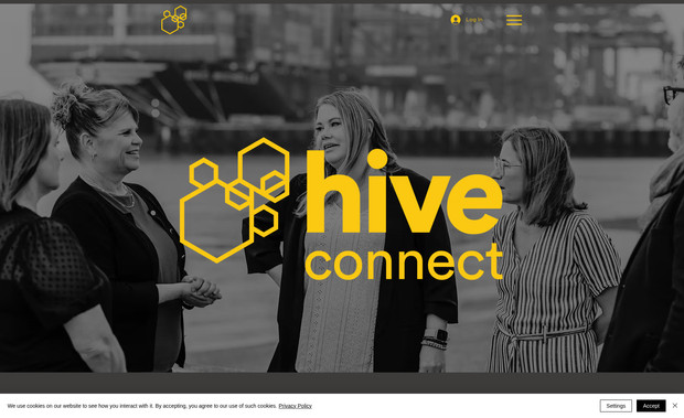 Hive Connect: SEO and fix on membership areas