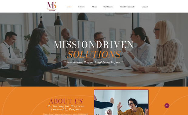 Mission Driven Solutions Website: 