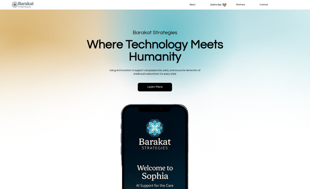 Barakat Strategies: Startup website for company doing work in Afghanistan.