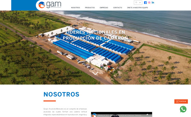 Grupo Acuícola Mexicano: Empresa líder productora de camarones en México.