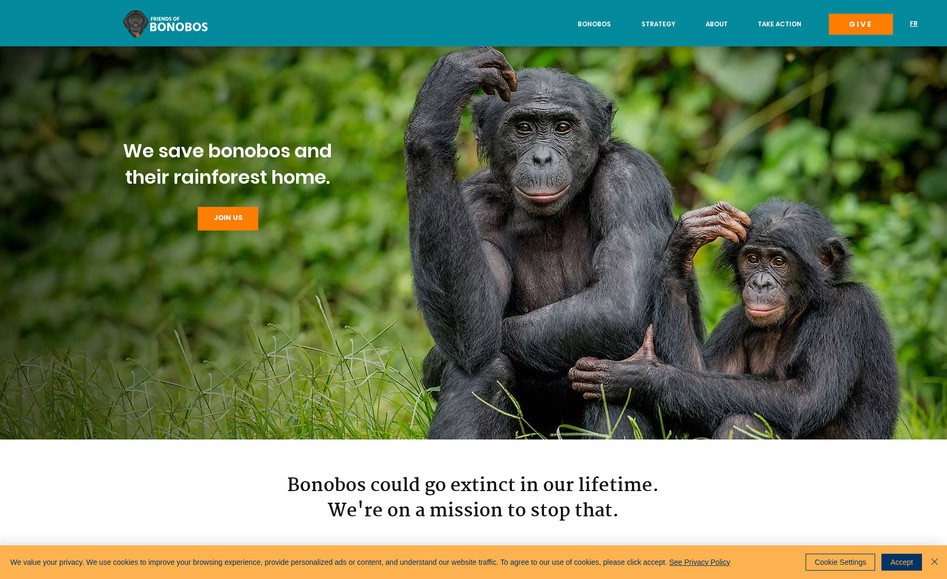 Bonobos: Consulting.