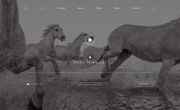 Brice Tribollet: Réalisation de l'identité visuelle, du design, des animations et développement du site web.