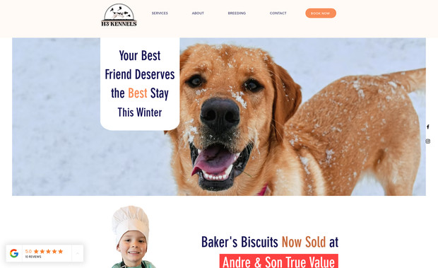 H3kennels: Led the creative direction and execution of the brand identity, including website design, business card layout, logo development, and product label design. Delivered a cohesive and professional visual presence across digital and print platforms, helping the business establish a strong, memorable brand from the ground up.