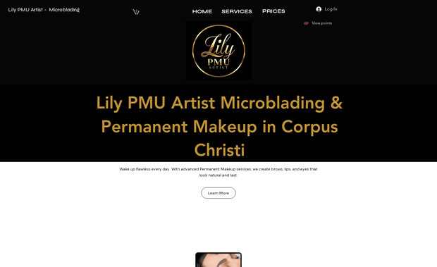 Lily Pmu Artist: En nuestra agencia de marketing digital, cada proyecto representa una historia de crecimiento, compromiso y resultados reales. El desarrollo del sitio web Lily PMU Artist es un claro ejemplo de cómo nuestro equipo lleva una marca desde cero hasta su máximo potencial digital, cuidando cada detalle técnico, estético y estratégico para asegurar su éxito en línea.

Desde la estructura inicial hasta la publicación final, creamos una experiencia digital completa y funcional, implementando: 
1.- Más de 25 secciones personalizadas que reflejan la esencia y profesionalismo de la marca.
2.- Más de 10 formularios inteligentes, 100% optimizados para conversión, seguimiento y análisis de datos.
3.- Pasarelas de pago seguras totalmente configuradas, con sus respectivas cuentas integradas para garantizar un proceso fluido y profesional.
4.- Catálogos interactivos y descripciones persuasivas desarrolladas con precisión de copywriting profesional, enfocados en la intención de venta y el posicionamiento SEO.
5.- Tarjetas de presentación digitales y físicas optimizadas con códigos QR dinámicos, facilitando la conexión directa con el sitio web y las redes sociales.
6.- Una optimización SEO avanzada, diseñada para acelerar la indexación en Google y lograr un posicionamiento competitivo en el mercado local de Corpus Christi, Texas.
7.- Cada palabra, imagen, y enlace fue pensado para comunicar la personalidad elegante y moderna de la marca, garantizando una experiencia de usuario fluida, visualmente atractiva y emocionalmente coherente con el público objetivo.

Este proyecto fue un trabajo de equipo en su máxima expresión. Nuestro equipo de diseñadores, programadores, copywriters y especialistas en posicionamiento digital dio el todo por el todo, combinando estrategia, creatividad y tecnología para convertir una visión en una marca con presencia sólida, estructura profesional y posicionamiento real en Google.

✨ En nuestra agencia no solo creamos páginas web; tambien construimos marcas digitales que dejan huella.