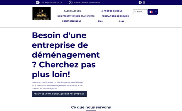 DDS transport Sàrl : Design Website 