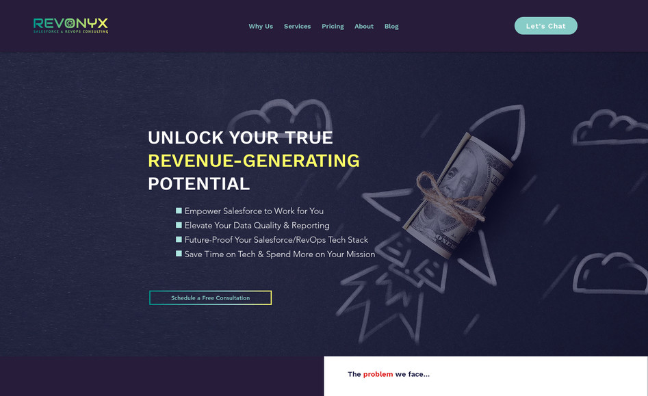 RevOnyx: Refreshed web design: infographics, copywriting and restructured navigation.