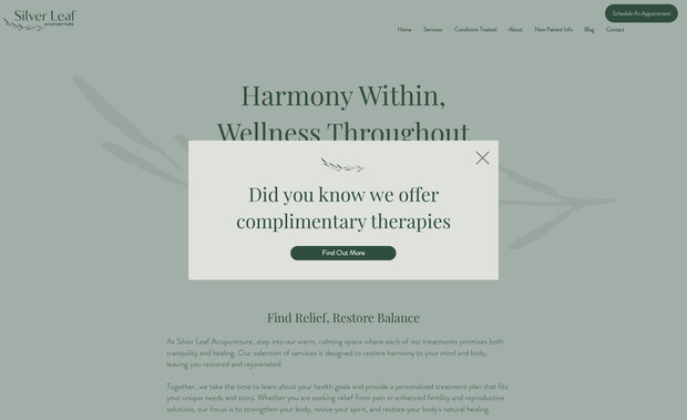 Silver Leaf: Designed a calm, information-rich site for an acupuncture practice, including service overviews, third-party booking integration, and patient forms to submit insurance details in advance, all optimized for search.