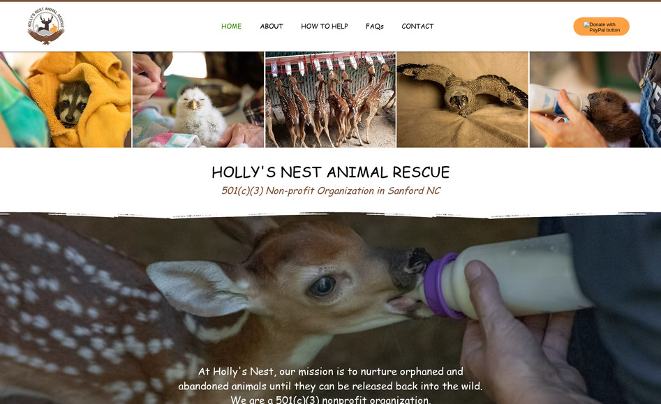 Holly's Nest Animal Rescue: Animal Non-Profit - Redesign, Support