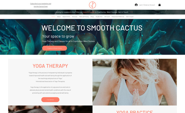 Smooth Cactus: Website updates including SEO and design. Also spent some time troubleshooting the booking system. 