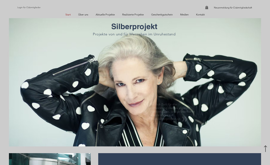 Silberprojekt.ch : Konzeption und Realisation mit CMS