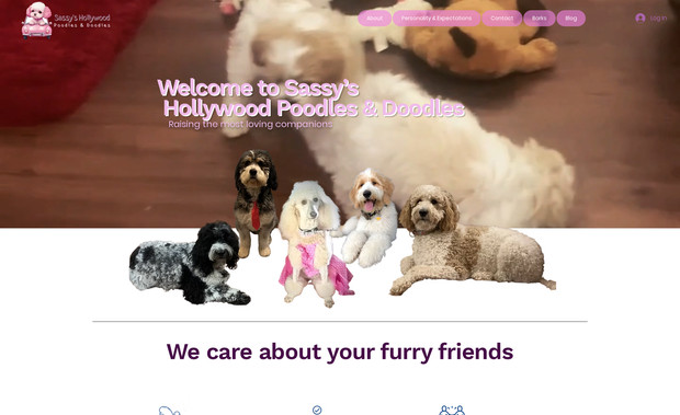 Sassy Hollywood: A simple business but an amazing looking website 