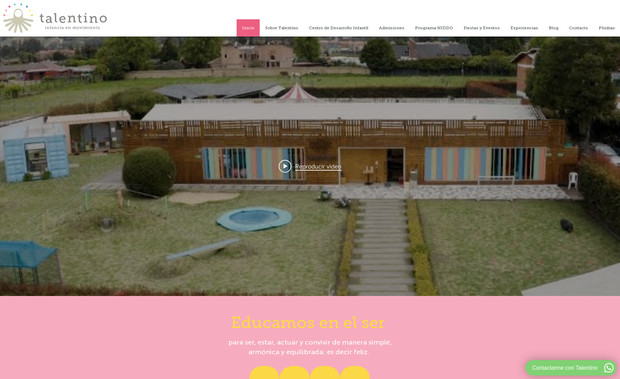 Talentino: For Talentino, we developed their website, aiming to convey their philosophy through the digital language.