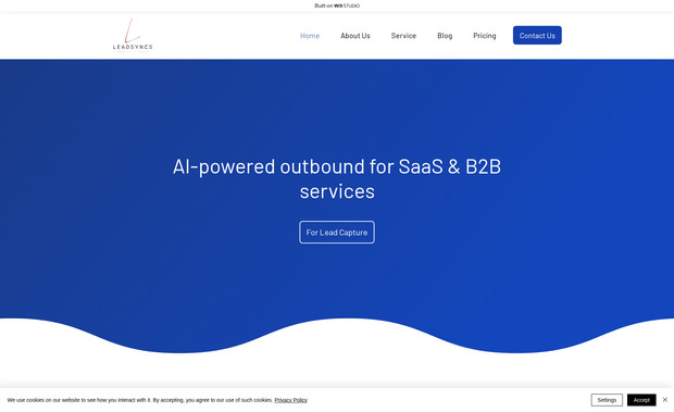 LeadSyncs: undefined