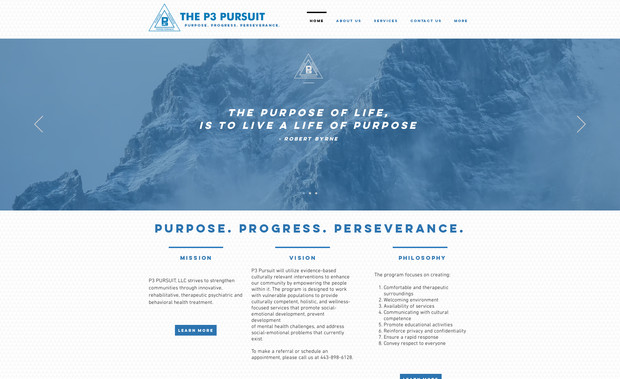 P3pursuit: undefined