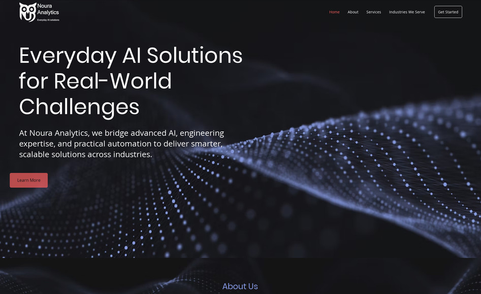 Noura Analytics LLC: undefined