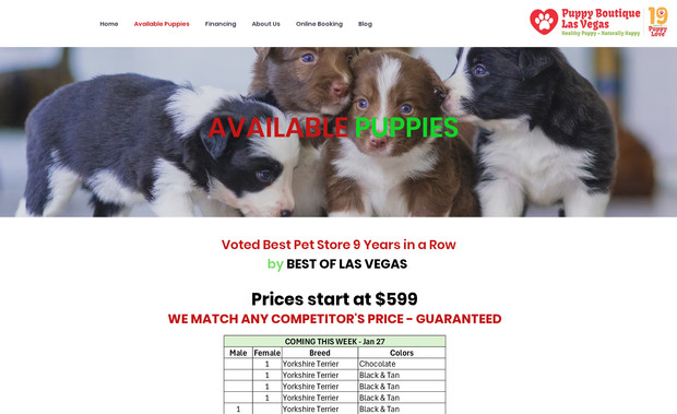 Puppy Boutique LV: Our team integrated the third-party application into the Wix website using Velo to render the pet data through API. 

The client had been facing this problem from 5-6 months, but our team provided a smooth solution and the project was completed smoothly. 
