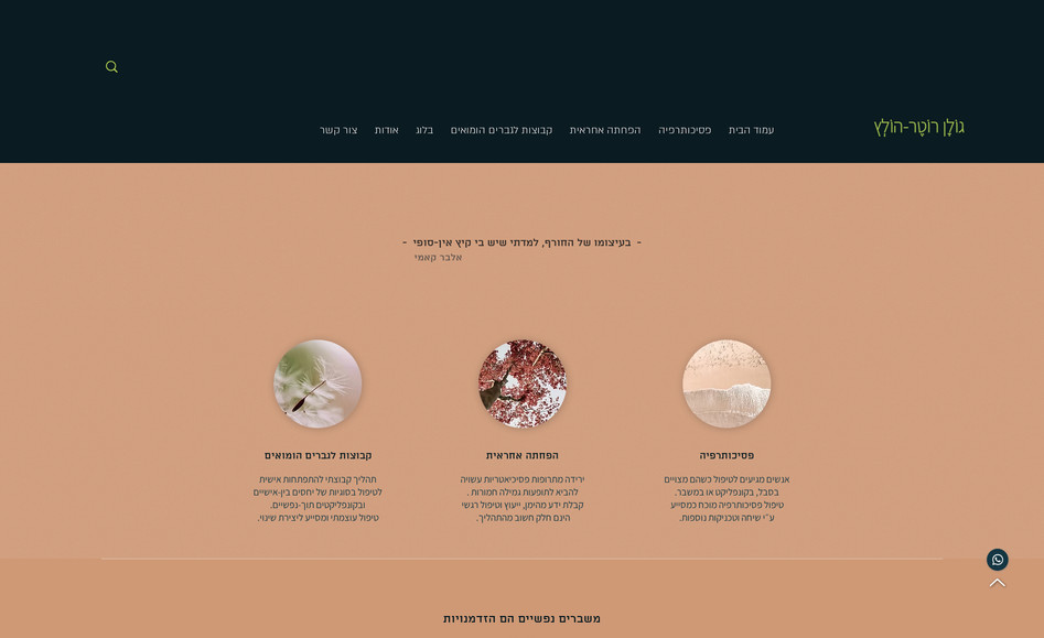 גולן רוטר-הולץ: Strategy
Site map 
Branding
Design & Construction
SEO 
Accessibility 
Responsiveness

Designed additional marketing outlets
Landing page design and construction