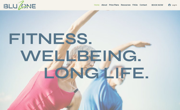 BluZone: Created e-commerce site to showcase services and classes along with booking tools and payment options