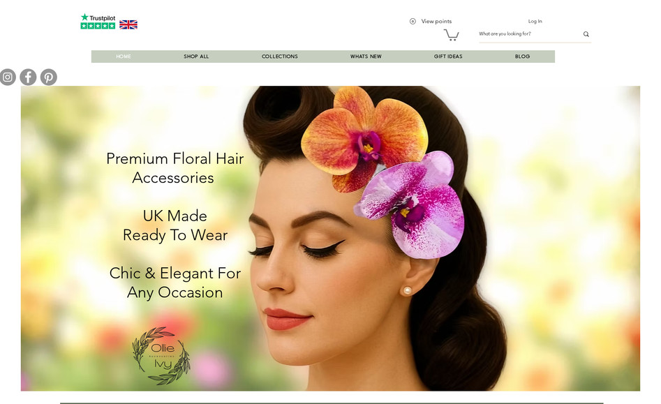 Ollie & Ivy Shop: Re-design and SEO for site.