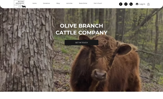 Cattle Branch: undefined