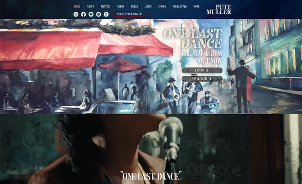 Pete Muller: Musical artist Pete Muller. I turned an art-based album cover into a vibrant, living scene for the website header, as well as designing the entire website from the ground up.