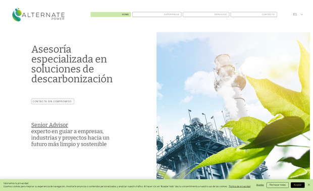 Alternate Power: Diseño web