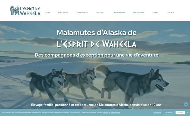 L'Esprit de Waheela: Création de site avec intégration de base de données - CMS - pages dynamiques et formulaires personnalisés