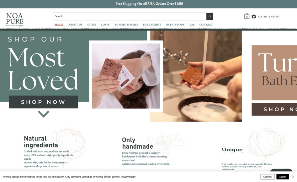 Noapure: A new E-commerce website with online payment design was created with Wix.
