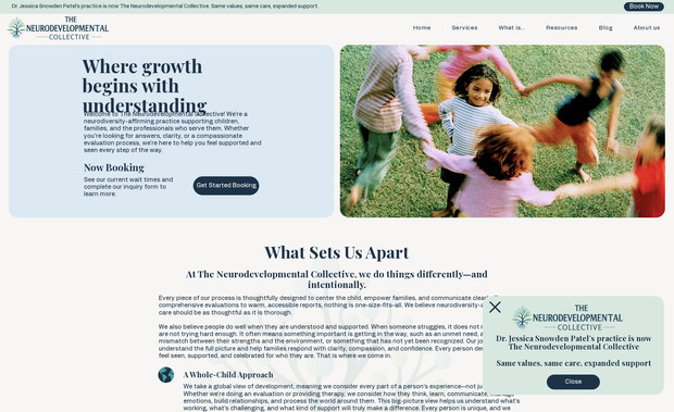 The Neurodevelopmental Collective: Designed and developed website