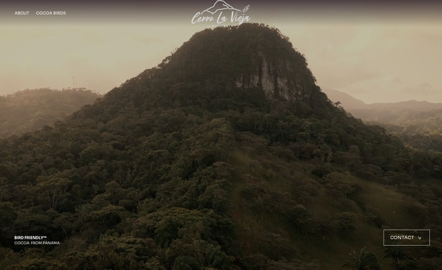 COCOA CERRO LA VIEJA: 